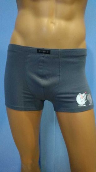 Шорты мужские ATLANTIC MH-1651