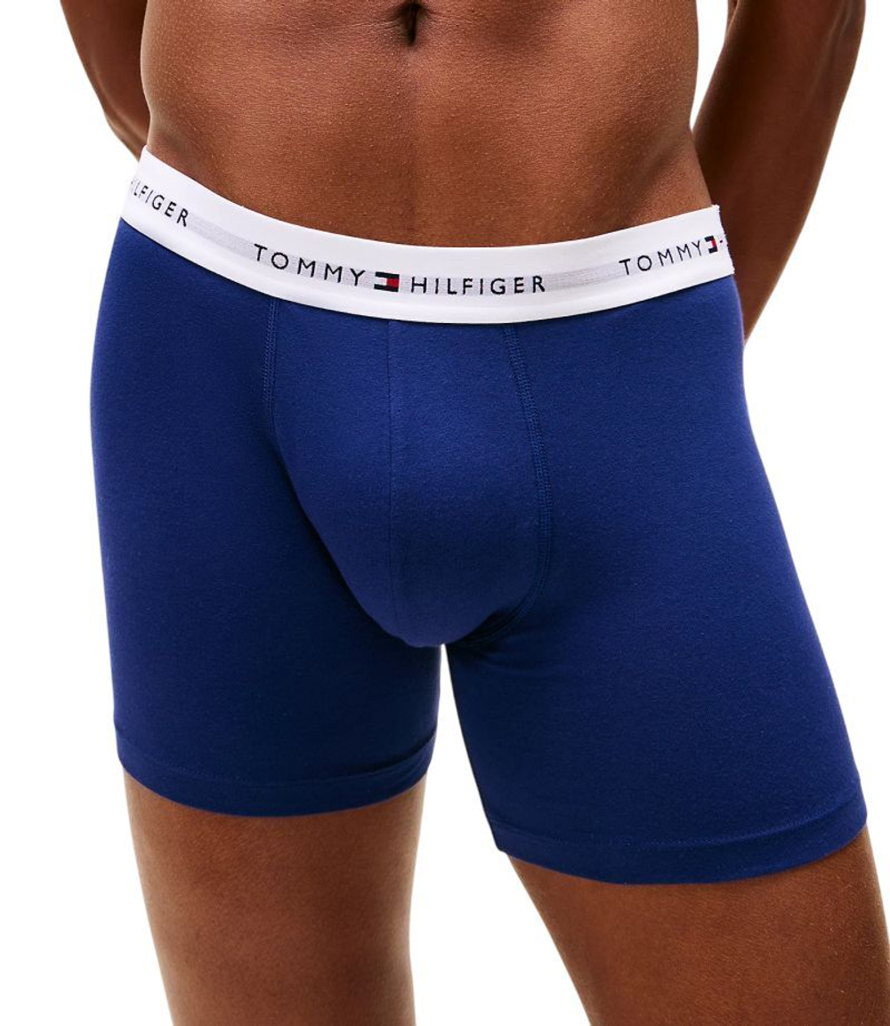 Мужские спортивные боксеры Tommy Hilfiger Brief 3P - ornamental green/purple navy/vessel blue