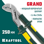 KRAFTOOL Kraft-Max, 250 мм, переставные клещи (22011-10-25)