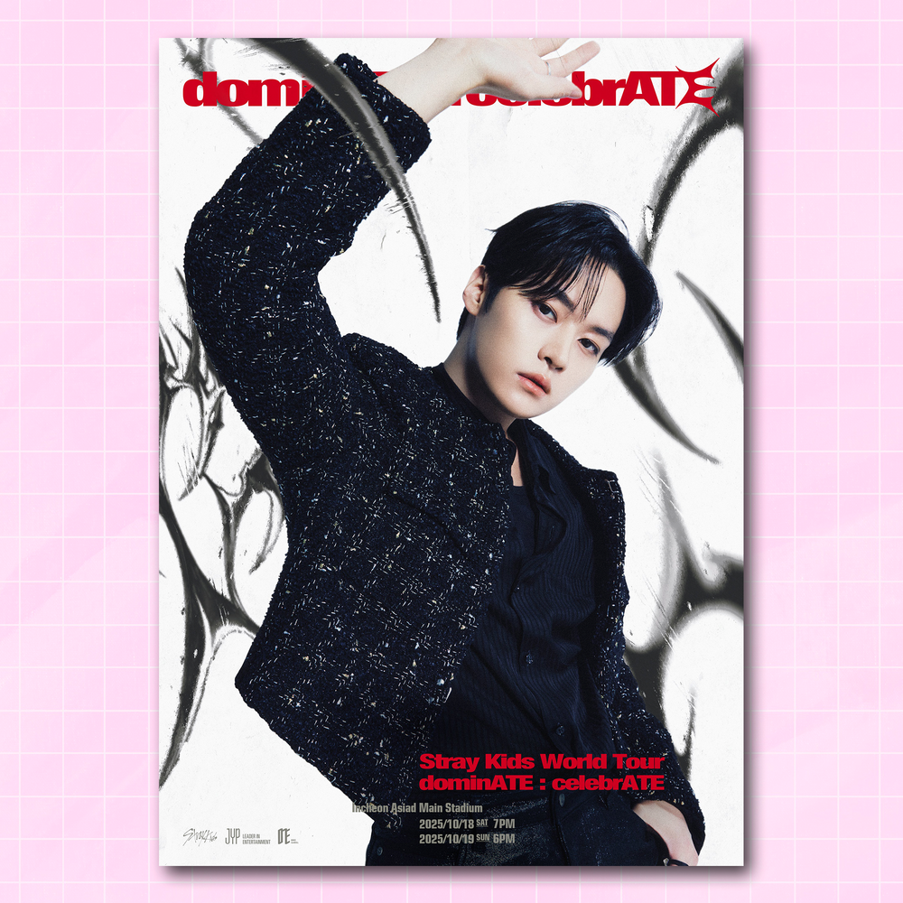 Мини-постер #635 / STRAY KIDS / Минхо (Lee Know)