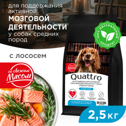 Корм сухой для взрослых собак средних пород, премиум полнорационный комплекс, забота о памяти и мозговой активности, с лососем, 2,5 кг, QUATTRO