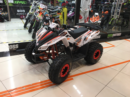 ATV Motoland 125 COYOTE
