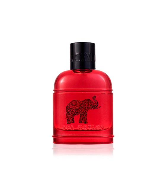 Парфюмированная вода "ЛЕСНАЯ ЭНЕРГИЯ" (100мл)