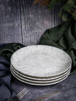 Тарелка мелкая 25 см без борта BLIZZARD