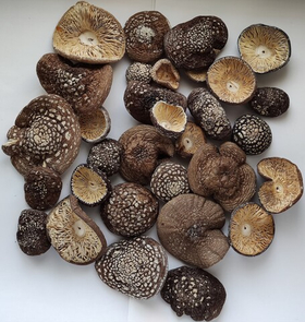 Мухомор пантерный (шляпки) "Высший сорт"