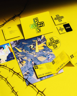 Альбом TXT - 7TH YEAR: A Moment of Stillness in the Thorns