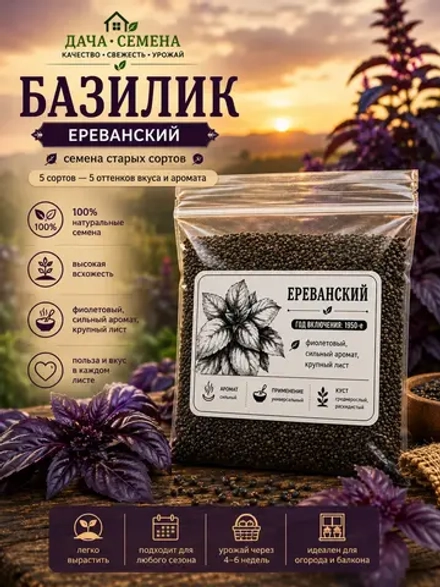 Базилик фиолетовый семена