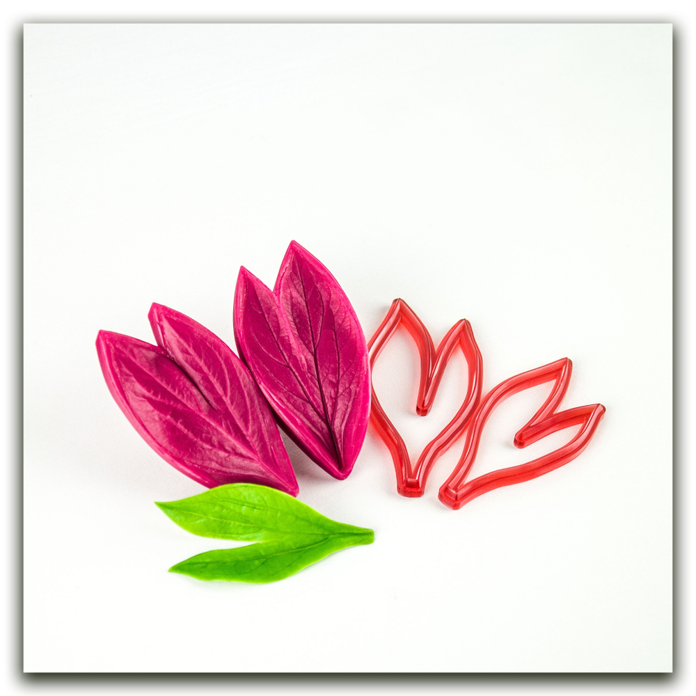 Лист пиона садового двойной