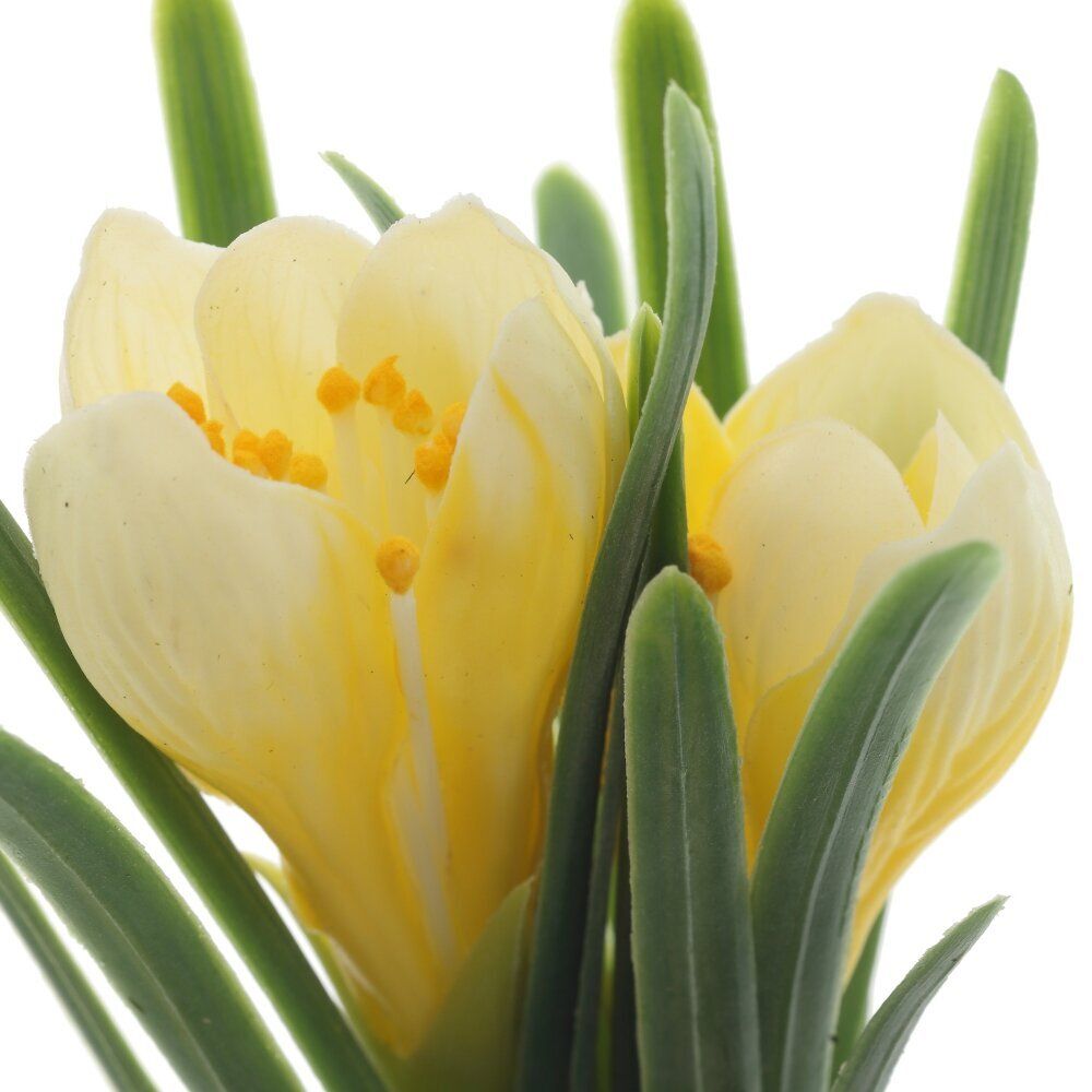 GAEM Цветочная композиция "Крокусы", L12 W10 H22 см