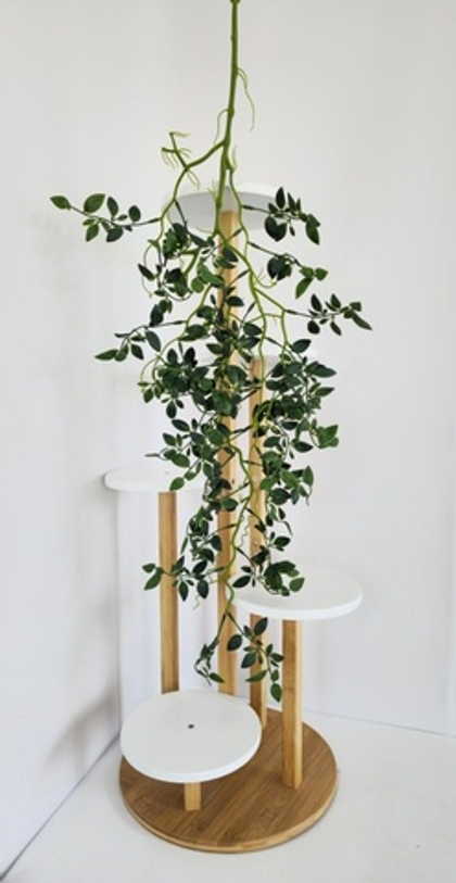 Лимонник ампельный на зелёном стволе / Арт 4230