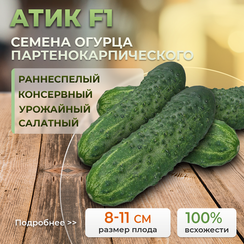 АТИК F1 семена огурца (Bejo | Alexagro)