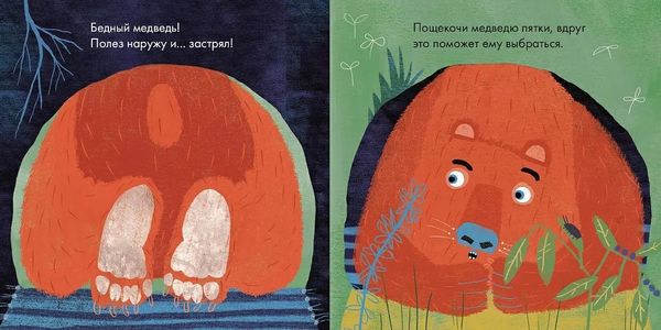 Бедный медведь