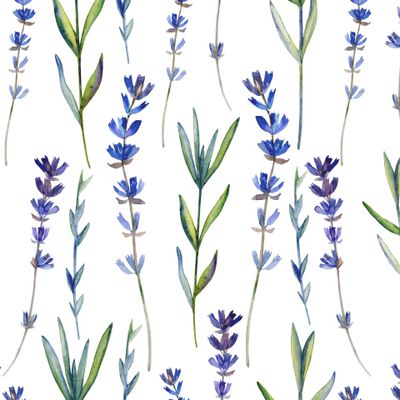 Лавандовый мир, лаванда акварель