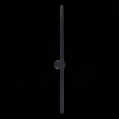 Светильник настенный ST Luce ST607.442.12