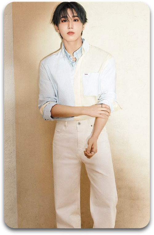 Карта / STRAY KIDS #2522