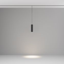 Трековый светодиодный светильник Maytoni Exility Focus LED TR041-2-12W4K-B