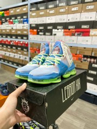 Nike LeBron 19