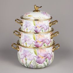 НАБОР КАСТРЮЛЬ AGNESS ЭМАЛИРОВАННЫХ СЕРИЯ "IRISES", 6ПР. 2,1Л, 2,8Л И 3,8Л