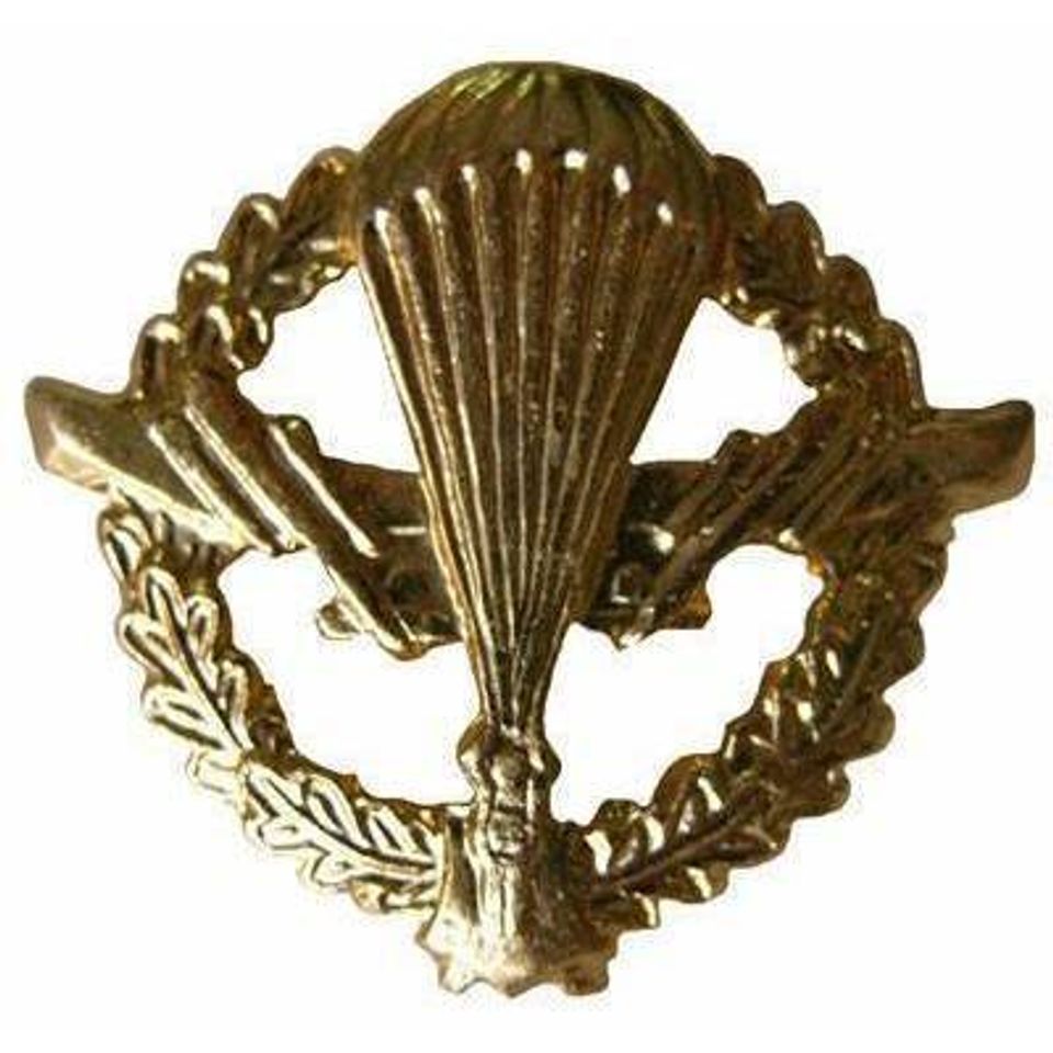 Эмблема петличная ВДВ в венке металл золото