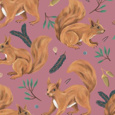 Белки на розовом фоне