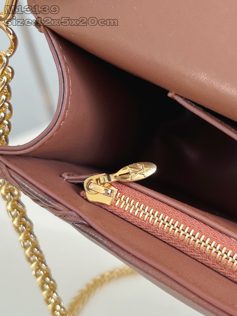 Louis Vuitton GO-14 Wallet On Chain Bag