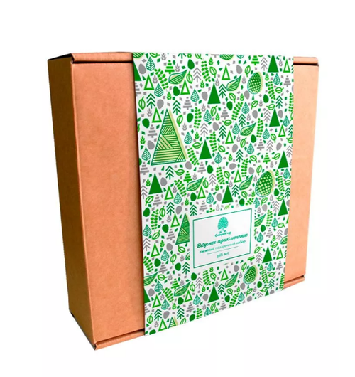 Подарочный набор «Таежный сбор» / 765 г / Сибирский кедр