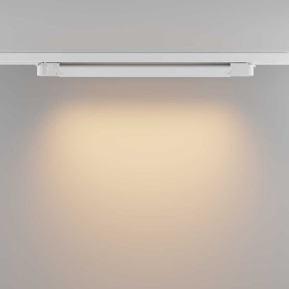 Трековый светодиодный светильник Maytoni Technical Basis TR196-3-20W2.7K-W