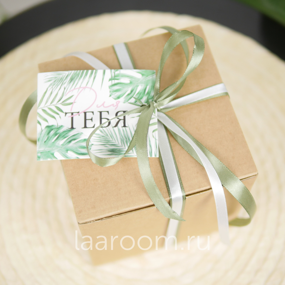 Суккулент в кашпо №1