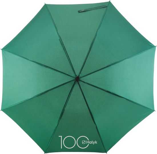Зонт Halyk 100 Wind