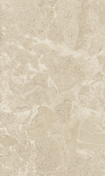 Saloni brown wall 01 v2 300х500 (1-й сорт)
