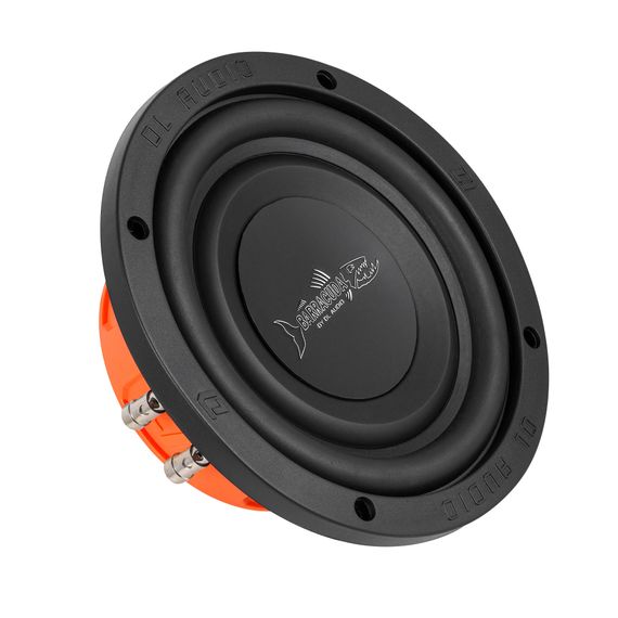 Сабвуфер Dl Audio Barracuda 6.5 Flat