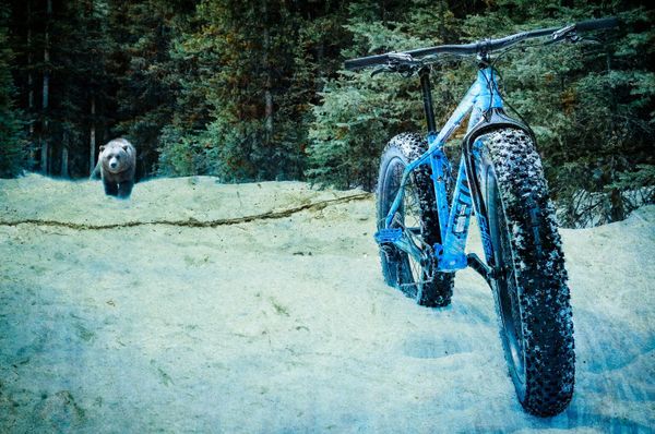 Фэтбайк (FatBike) - вездеход среди велосипедов