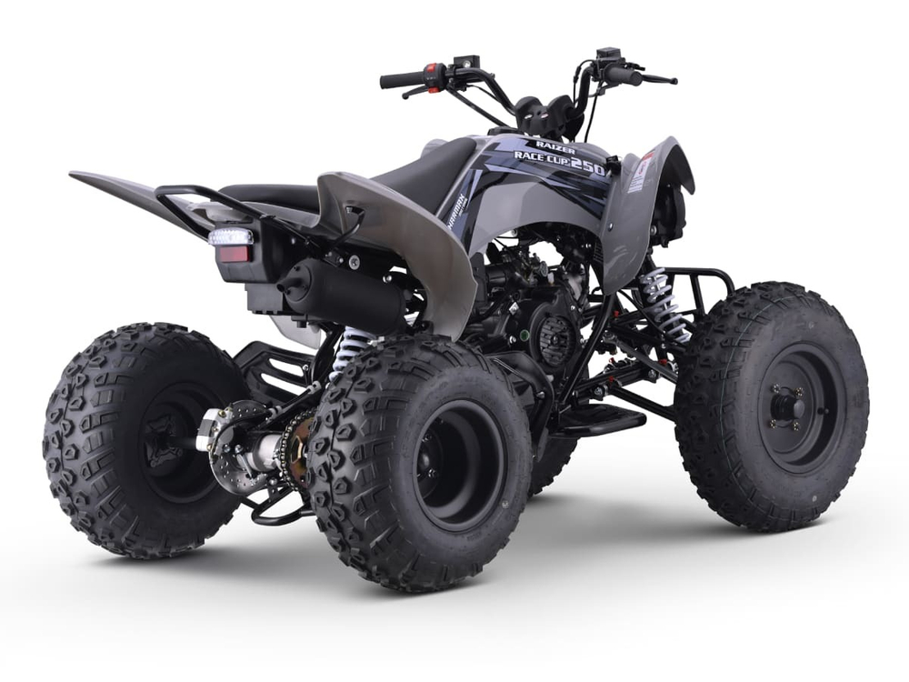 Квадроцикл SHARMAX Raizer Race Cup 250