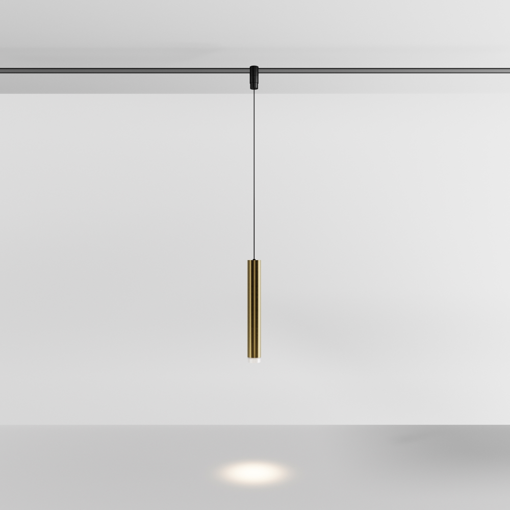 Магнитный трековый светильник Maytoni Skim TR210-1-5W3K-M-BBS