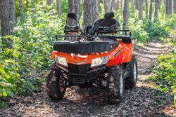 Квадроцикл YACOTA CABO 200 LD