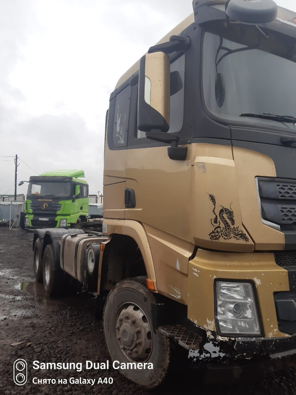 Shacman (Shaanxi) SX* 6x6 Седельный тягач SX42586V385 (Дизельный, 11,6 л, 423 л.с., МТ)