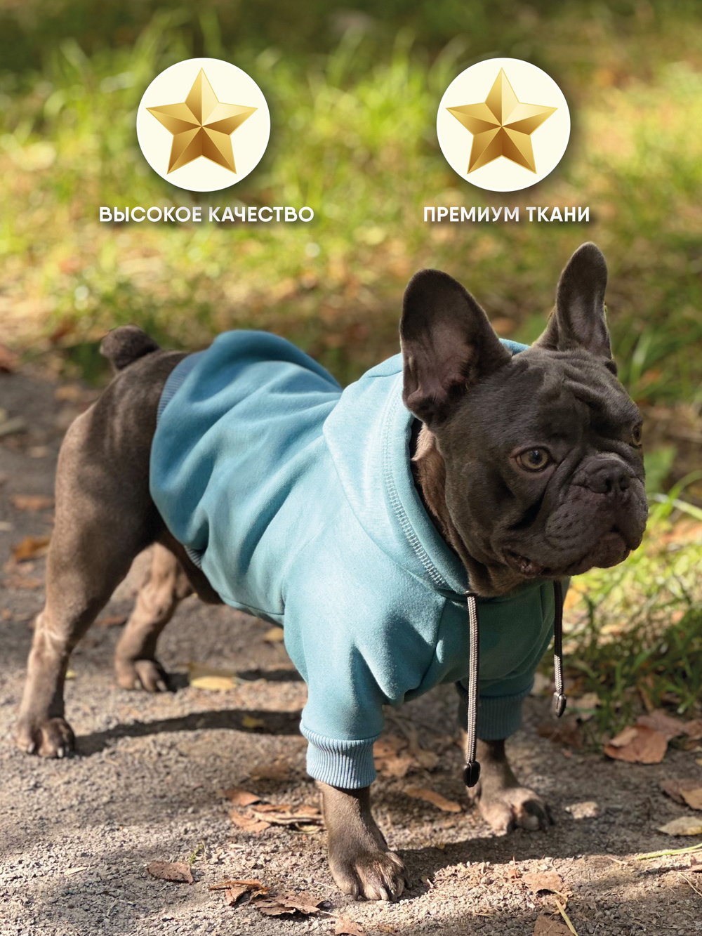 Толстовка для собак пород французского бульдога, мопса, голубой,M