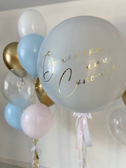Воздушные шары на Гендер пати №319