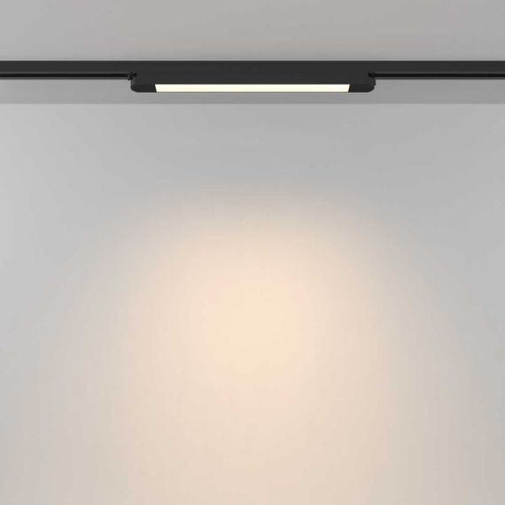 Трековый светильник Maytoni Technical TR000-1-12W3K-B_1