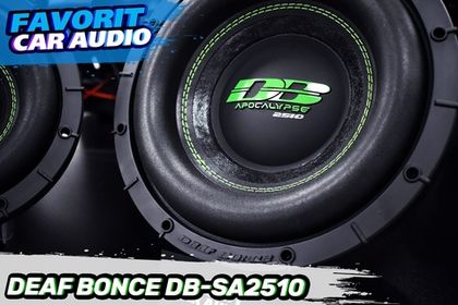 Грозные малыши Deaf Bonce в наличии и ждут своих хозяев.