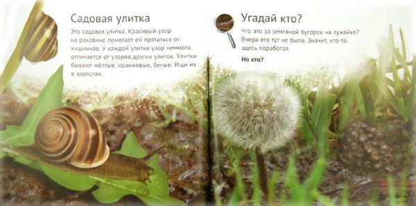 Кто живет у нас на даче. От мала до велика. Майк Анвин