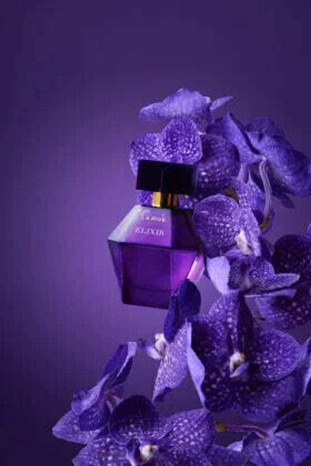 Elixir Eau de Parfum 100 мл