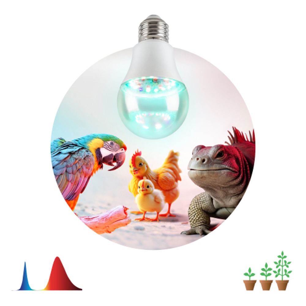 Лампа для птиц и рептилий ЭРА Chicken с UVB спектром FITO-Dim 9W E27 | Лампы для птиц и рептилий