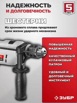 Дрель электрическая, ударная, 810 Вт.