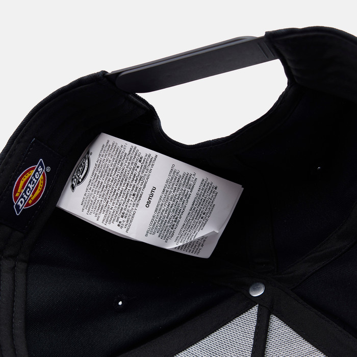 Кепка Dickies Torrey Snapback Cap артикул:DK0A88I9BLK1 - купить в магазине Дайс