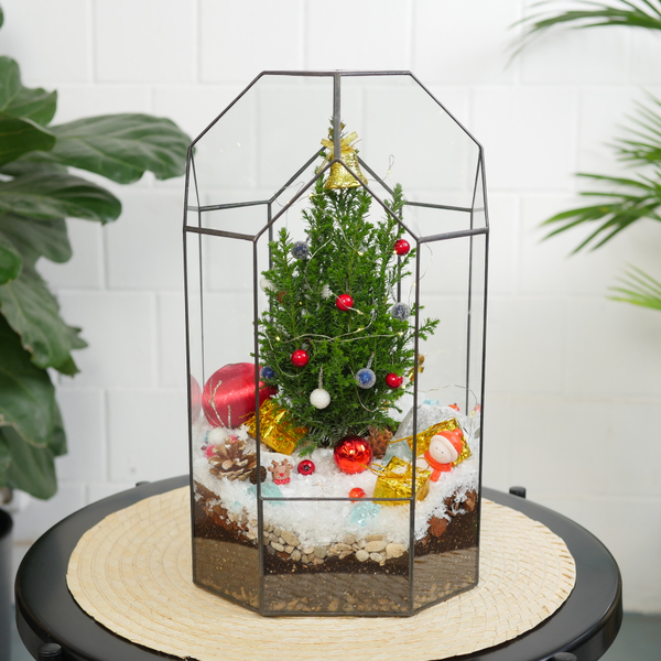 Готовый новогодний флорариум Бонсариум 35см