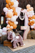 Horse Party