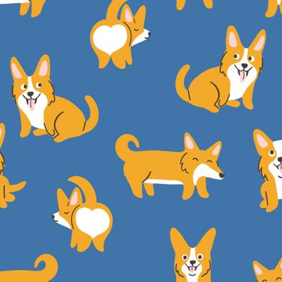 Корги на синем