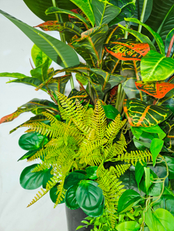 Искусственная композиция Интерьерная из растений 160см в кашпо