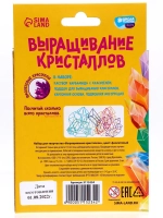 Набор для опытов Выращивание кристаллов фиолетовый
